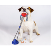 Durable Dog Tug Rope Ball Silicon Single Suction Cup Tug Dog Toy  Squeaky Chew Toys