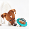 Flying Saucer Tumbler Feeding Toy Pet Feeder Slow Food Dispenser Ball Food Leakage Toy