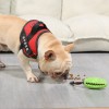 Multifunctional Teeth Cleaning Pet Dog Interactive Toy Food Dispenser Ball Dog Chew Toys