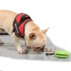 Multifunctional Teeth Cleaning Pet Dog Interactive Toy Food Dispenser Ball Dog Chew Toys