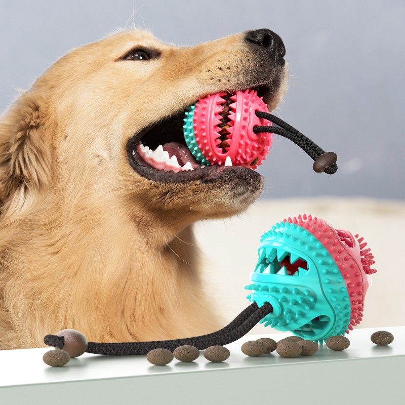 Pet Multifunction Leakage Food Bite Resistant Ball Suction Cup Squeaky Molar Chew Toy