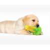 Interactive Corn Suction Cup Toy Dog Toothbrush Chew Indestructible Squeaky Molar Stick Toy