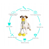 Indestructible Rubber Squeaky Treat Dog Bite Toy Double Suction Cup Tug Dog Chew Toy