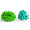 Pet Fun Interactive Suction Cup Push TPR Ball Elastic Rope Pet Dental Chew Bite Toy