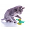 New Design Funny Cat Rotating Butterfly Shape Turntable Toy Cat Windmill Toy