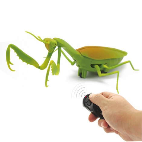 2021 Prank Insect Remote Rc Infrared Electronic Simulation Mantis Toy