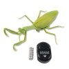 2021 Prank Insect Remote Rc Infrared Electronic Simulation Mantis Toy