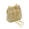 THE BUCKET TOTE Rhinestone Diamond drawstring gold Bucket bags Purse