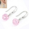 Korean Fashion Sweet Sparkling Zircon Personality Earrings Nhsc201776