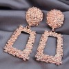 Fashion Metal Simple Geometric Shape Exaggerated Alloy Earrings Nhsc243298