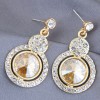 925 Silver Needle Fashion Metal Shiny Gemstone Alloy Earrings Nhsc246003