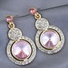 925 Silver Needle Fashion Metal Shiny Gemstone Alloy Earrings Nhsc246003