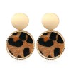 Fashion Metal Simple Round Leopard Pattern Earrings Nhsc272477