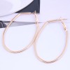 Fashion Metal Simple Geometric Oval Shape Exaggerated  Earrings Nhsc272481