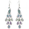Fashion Metal Simple Peacock Earrings Nhsc301762