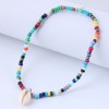 Toppinggoods Jewelry Wholesale Contrast Color Beads Pendant Anklet Nhsc374424