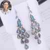 European And American Fashion Simple Metal Accessories Peacock Temperament Exaggerated Earrings Nhsc436015