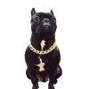 Teddy Bago fighting dog bully gold chain small and medium-sized dog collar pet Necklace accessories