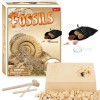Creative DIY digging crystal pirate treasure gems archaeological fossils children's educational exploration and mining toys