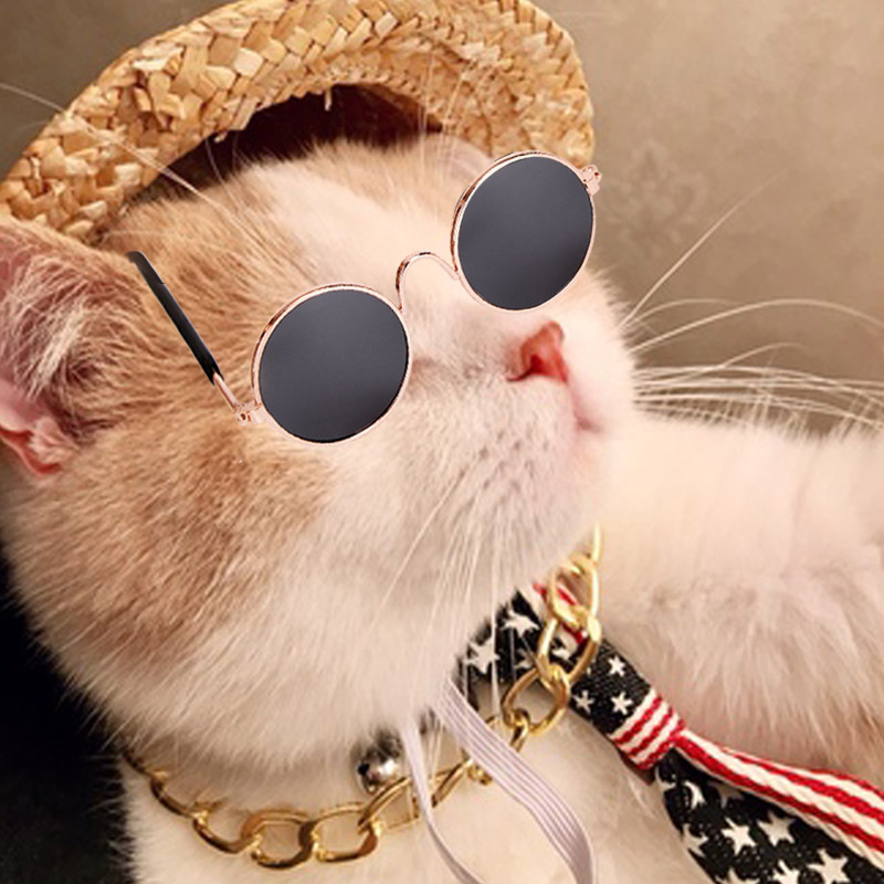 Spot pet fashion jew...