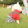 Tide brand dog clothes Fadou Teddy's new pet clothes winter plus cotton thick four-legged clothes factory direct sales	