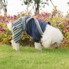 Tide brand dog clothes Fadou Teddy's new pet clothes winter plus cotton thick four-legged clothes factory direct sales	
