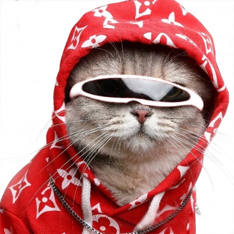 Pet glasses dog Sunglasses funny photography personality creative plastic windproof cat Sunglasses