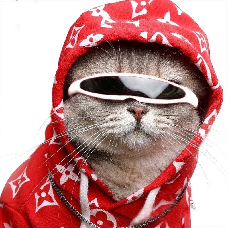 Pet glasses dog Sung...