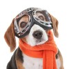 Spot creative pet Sunglasses big frame dog Harley glasses pet accessories