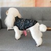 Dog clothes autumn and winter clothes no hat cotton vest pet two legged cotton clothes Teddy cotton vest