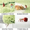 Cartoon high and low wool Home flocking floor mat door bathroom water absorption non slip foot mat door mat