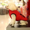 Pet cotton clothes dog two foot clothes autumn winter warm cotton vest Teddy VIP thickened clothes