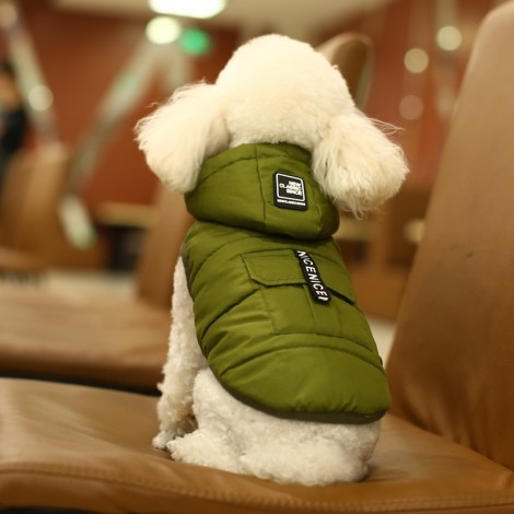 Autumn and winter dog clothes two leg down jacket waterproof pet cotton vest hat detachable