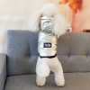 Autumn and winter pet dog down cotton vest silver gilded hat dog two legged cotton coat