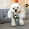 Autumn and winter pet dog down cotton vest silver gilded hat dog two legged cotton coat