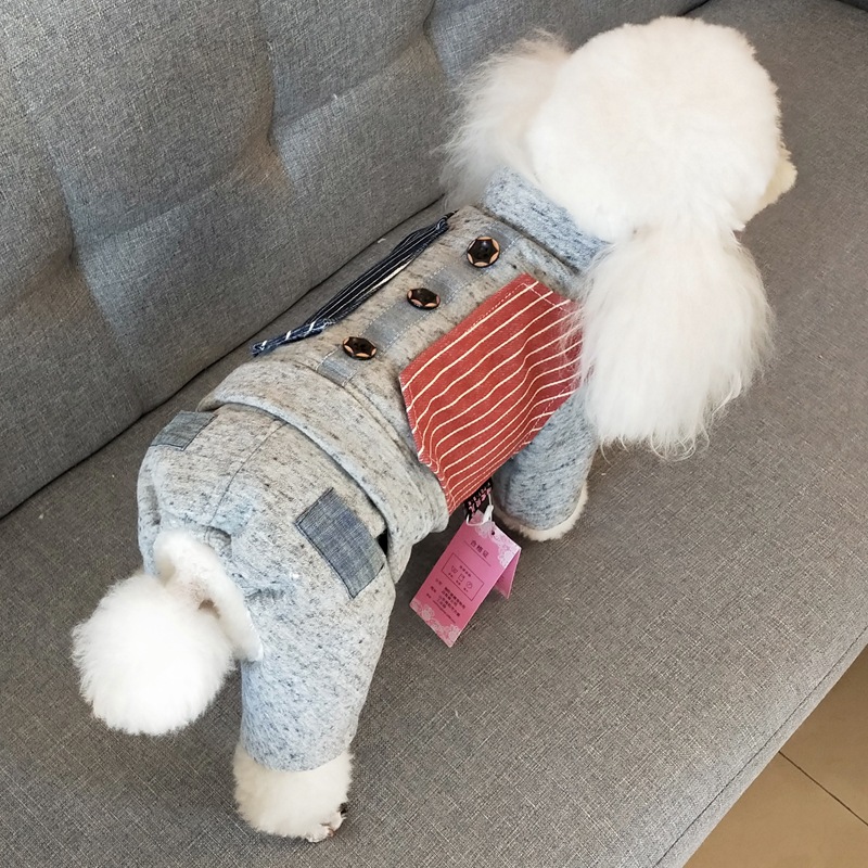 Pet clothes gentleman suit cotton padded clothes 2020 dog clothes autumn winter small dog four legged clothes Teddy thickened winter clothes