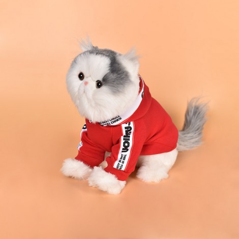 New dog clothes autumn and winter clothes cat two-legged sweater small dog pet clothing wholesale in stock	