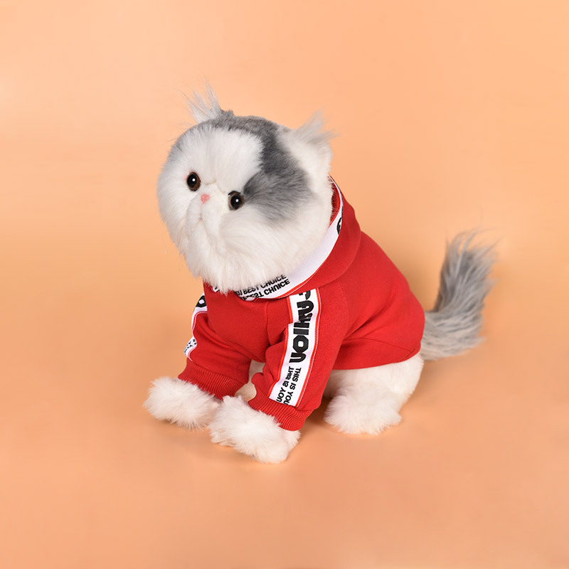 New dog clothes autumn and winter clothes cat two-legged sweater small dog pet clothing wholesale in stock	