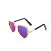 Creative new pet glasses cat Polarized Sunglasses dog Sunglasses funny personality jewelry