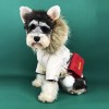 Dog clothes winter school overcome down jacket Teddy Chenery Bomei fadou Plush thickened pet coat