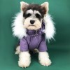 Dog clothes winter school overcome down jacket Teddy Chenery Bomei fadou Plush thickened pet coat