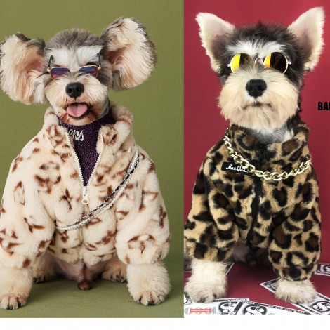 Dog clothes spring and autumn clothes Leopard Coat thickened Teddy Chenery bomeiji Doll Pet fashion clothes