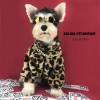 Dog clothes spring and autumn clothes Leopard Coat thickened Teddy Chenery bomeiji Doll Pet fashion clothes