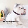 Dog clothes autumn and winter new cat clothes pet supplies English crew neck shirt two-legged pet clothing wholesale	
