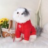 Pet clothes autumn and winter new dog clothes Teddy cat hooded sweater two-legged winter warm supplies	