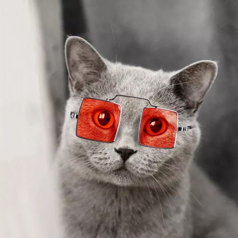 Creative new pet accessories cat photo funny props personality glasses dog decorations