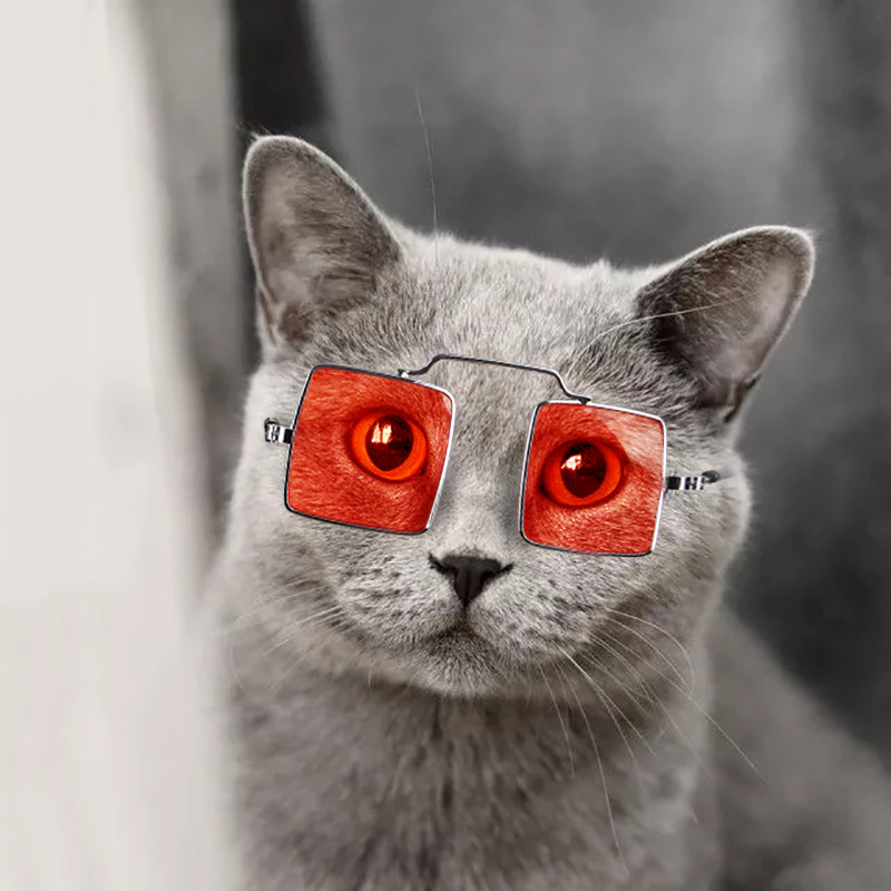 Creative new pet accessories cat photo funny props personality glasses dog decorations