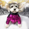 Dog clothing small dog winter thickened Teddy Schnauzer Bomei autumn and winter pet clothing fashion down jacket