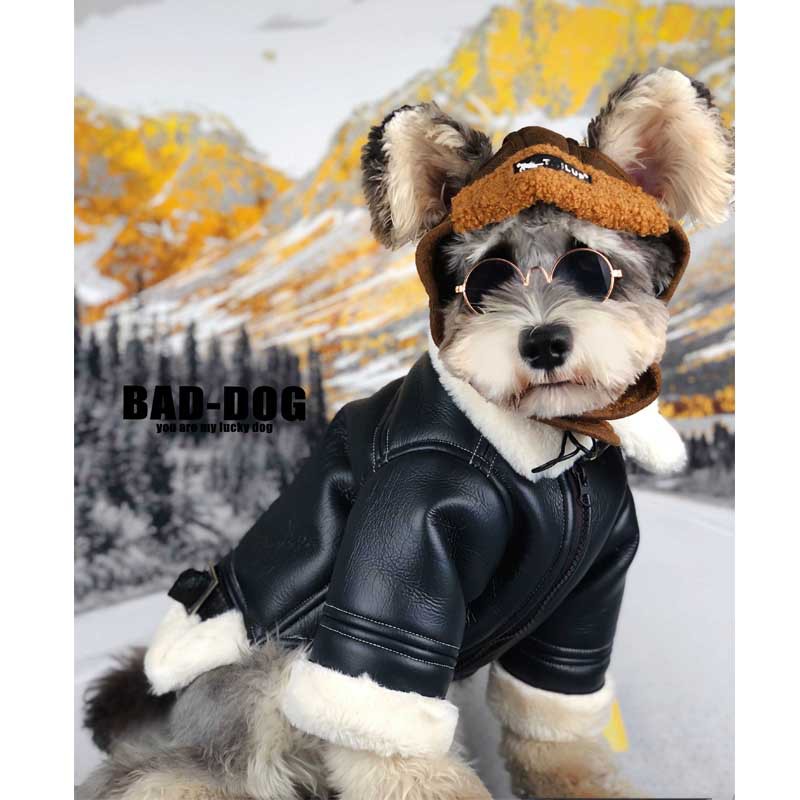 Dog clothes autumn and winter thickened tide black fur one coat small dog Teddy Chenery cat bomeifadou