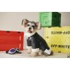 Dog clothes autumn and winter thickened tide black fur one coat small dog Teddy Chenery cat bomeifadou